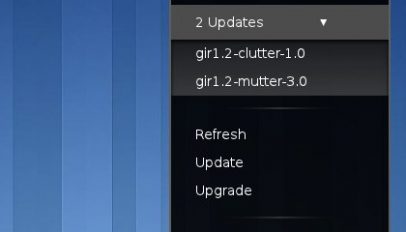 Update Indicator for GNOME Shell