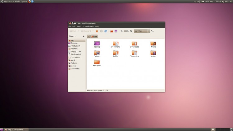 Ubuntu 10.04 Lucid desktop