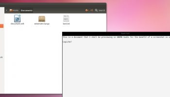 GNOME Sushi previewing a txt file