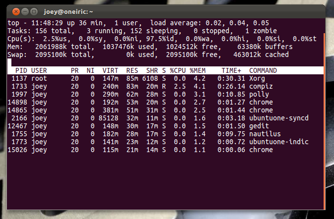 top command in an Ubuntu terminal