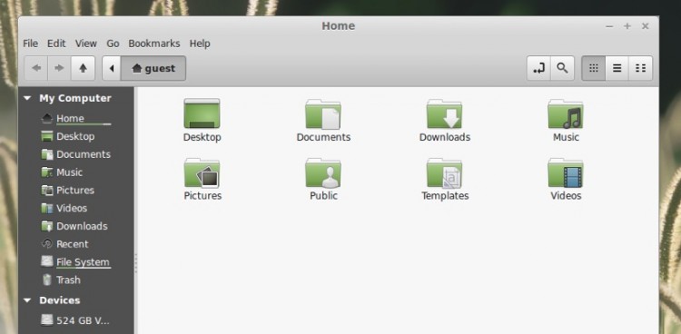 nemo file manager 24