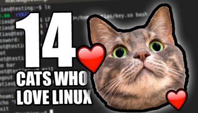 cats who love linux