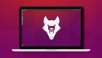 wily-werewolf-desktop-ubuntu