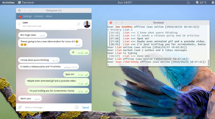 Screenshot of Telegram CLI on the Ubuntu desktop