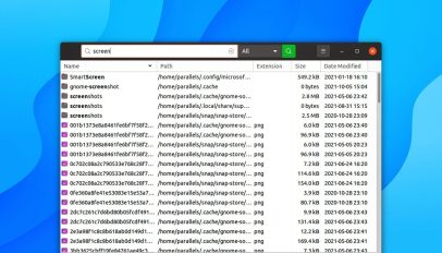 fsearch is a file search tool for linux