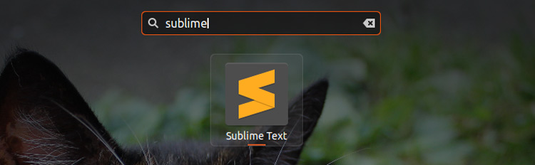 instal the new version for apple Sublime Text