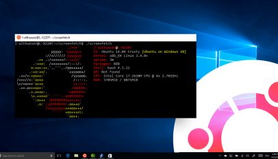windows subsystem for Linux