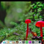 Manokwari desktop shell for GNOME