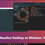 nautilus desktop on windows 10 via WSL