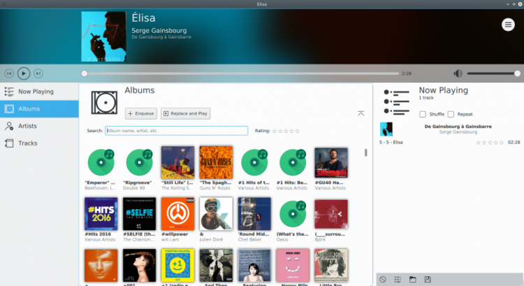 elisa music player screenshot