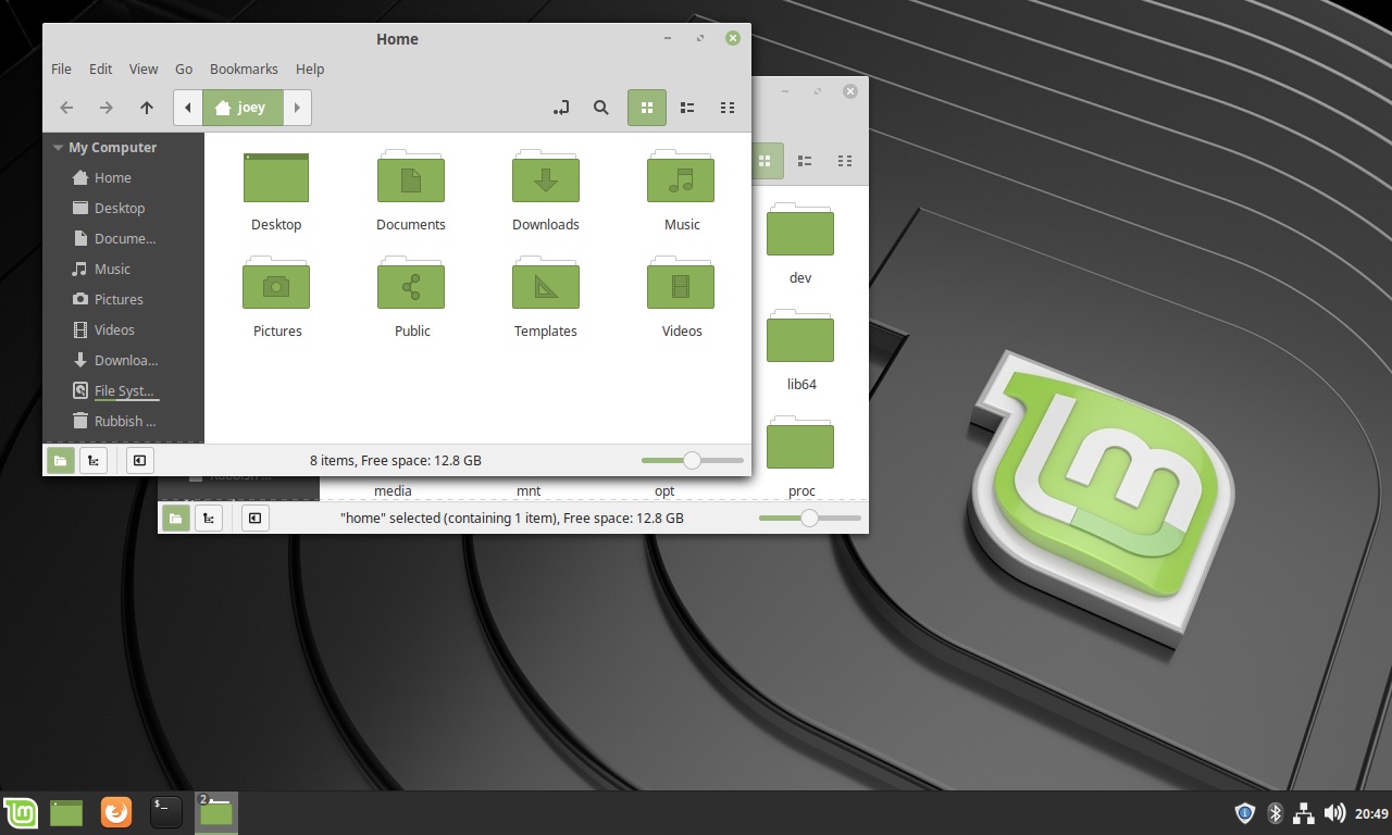 Linux Mint 19.1 Desktop Screenshot