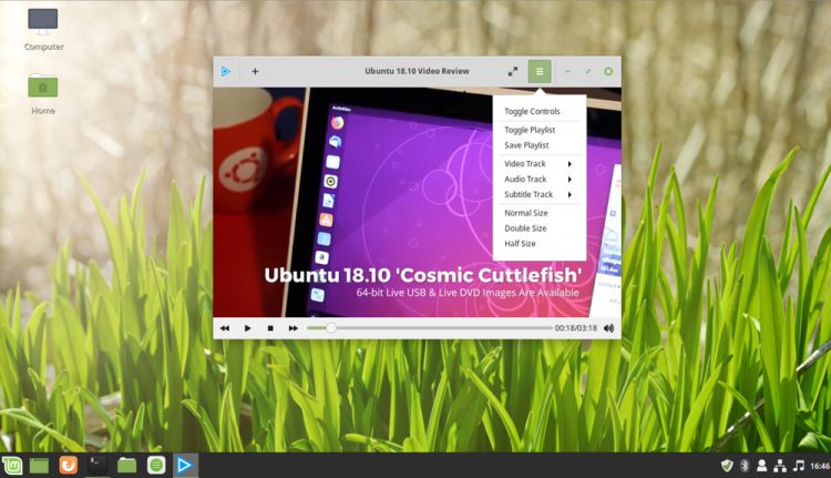 Screenshot of GNOME MPV on Linux Mint