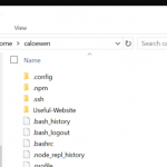 windows subsystem for linux file explorer