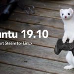 steam ubuntu 19.10