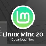 linux mint 20