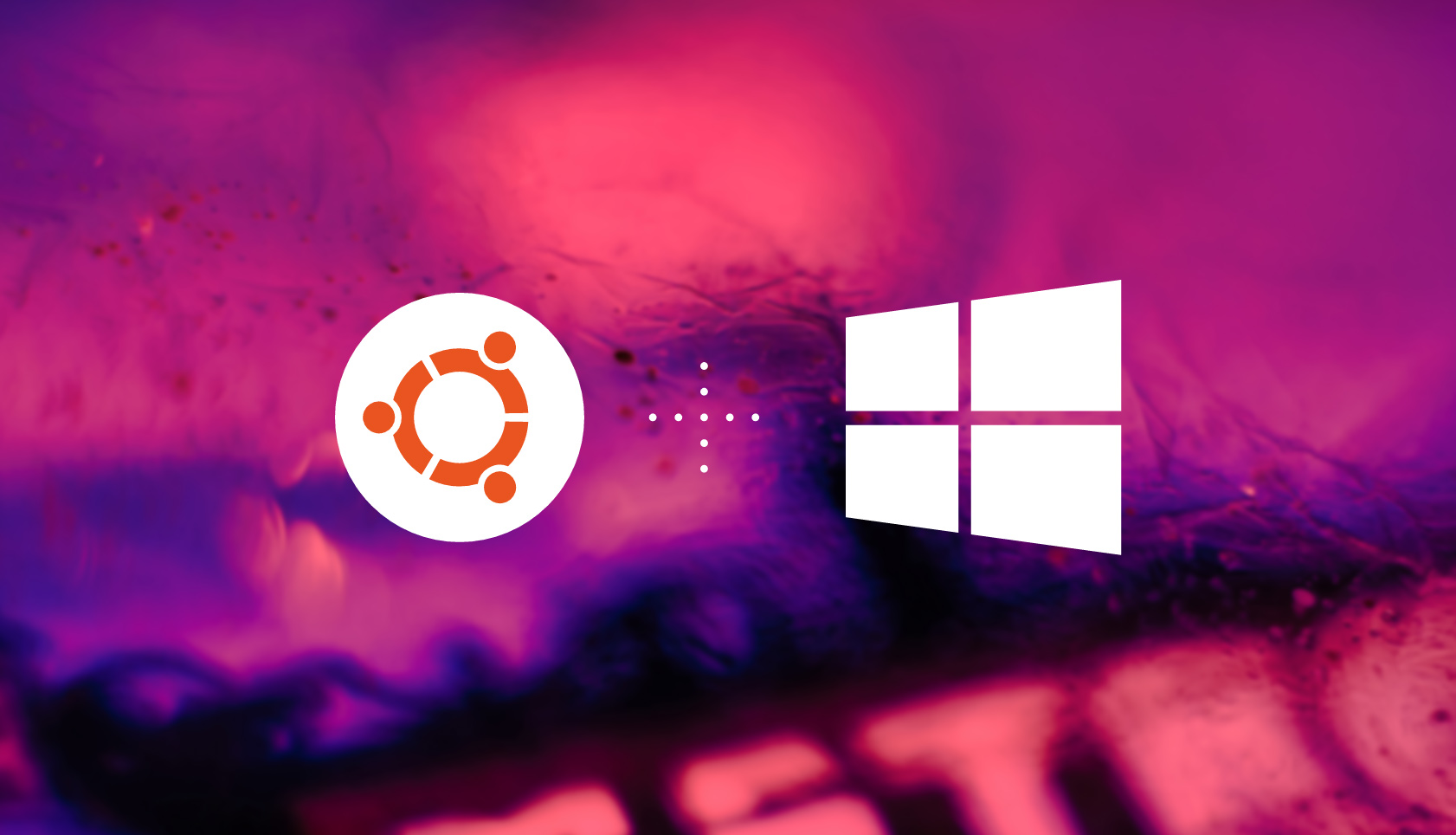 new-webpage-intros-the-benefits-to-using-ubuntu-and-wsl-on-windows-10