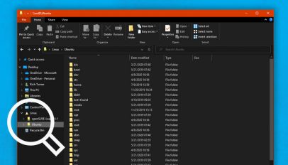 windows explorer lets you access wsl files