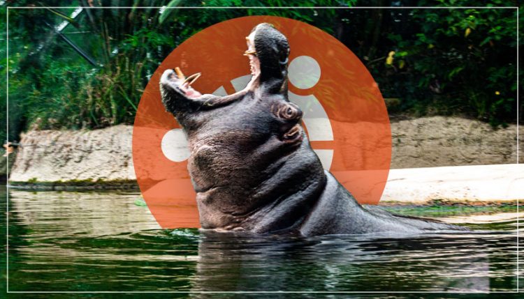 hippo and ubuntu logo