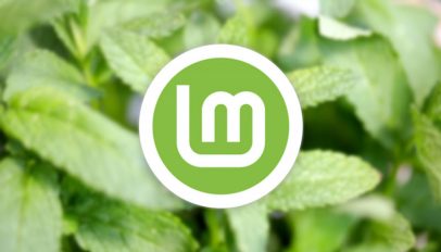 Linux Mint Takes Over Development of Timeshift, the Nifty Backup Tool
