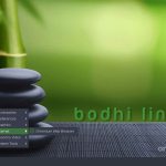 bodhi linux desktop screenshot 1