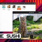 A screenshot of GNOME Sushi on Ubuntu