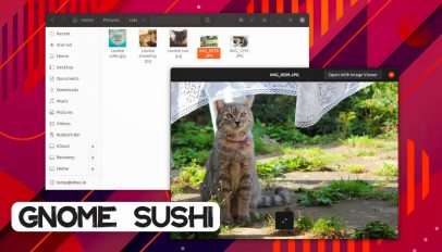 A screenshot of GNOME Sushi on Ubuntu