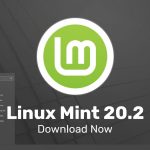 linux mint 20.2 release image