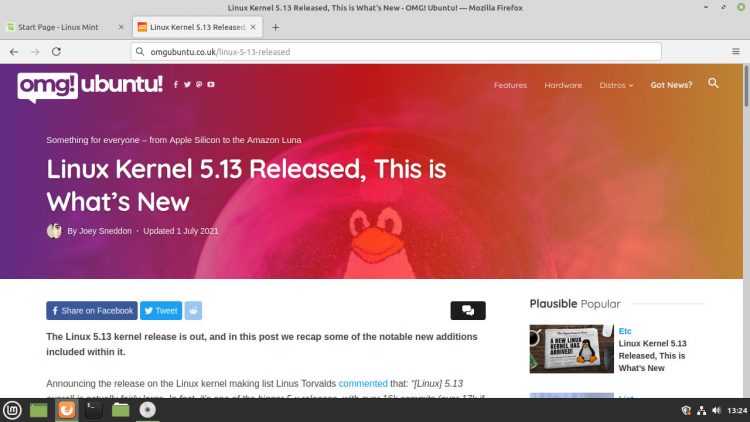 screenshot of Linux Mint 20.2 web browser