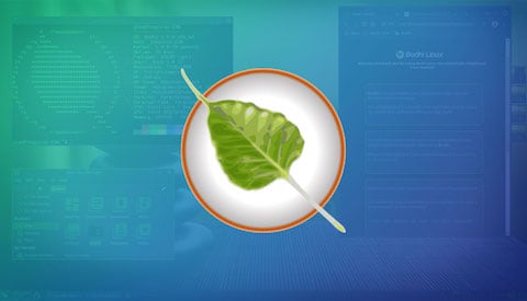 Bodhi Linux Shows Off New Theme, Revived Modules