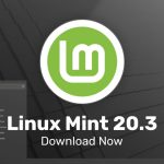 linux mint 20.3 release image