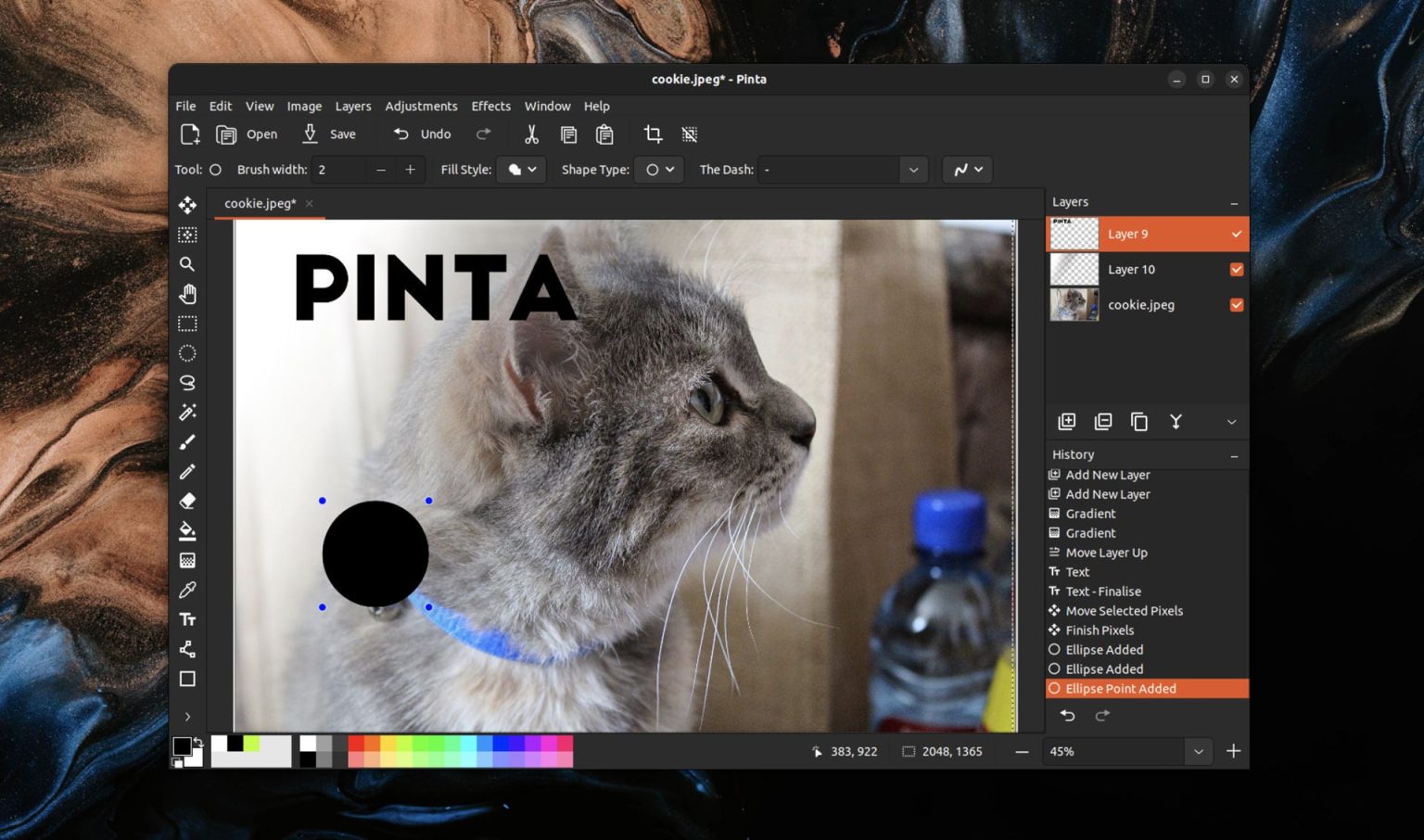 графічний редактор Pinta 2.1