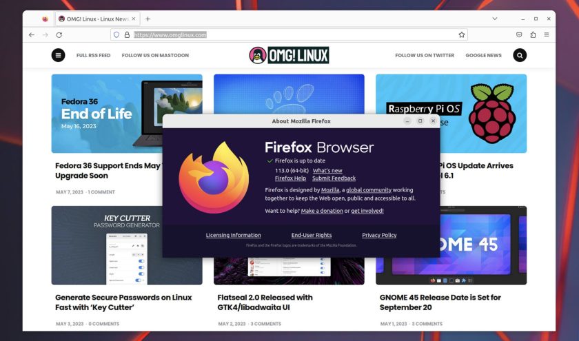 screenshot of Firefox 113 on Ubuntu 22.10