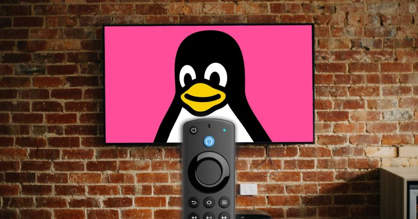 linux mascot on a tv with a remote control in view