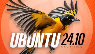 Ubuntu 24.10 Oracular Oriole hero image