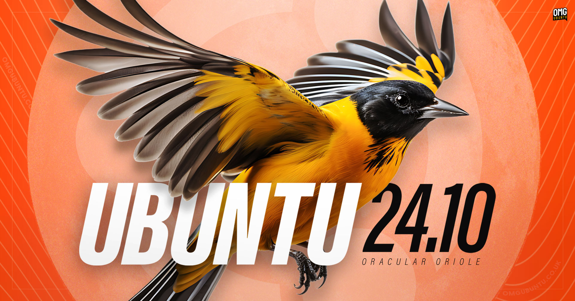 Ubuntu 24.10 Oracular Oriole hero image