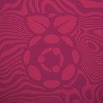Ubuntu Raspberry Pi logo