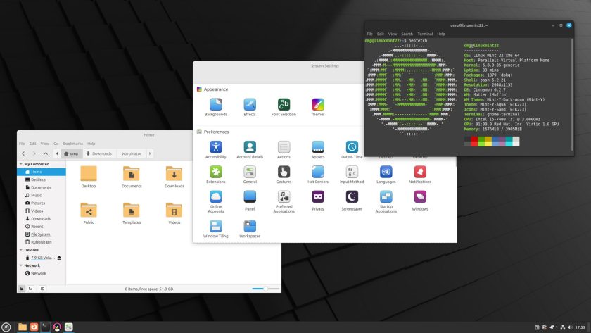 Screenshot of Linux Mint 22 with the Cinnamon desktop. The Nemo, Settings, and Terminal applications are open.